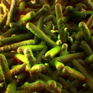 Listeria.