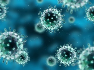 H1N1病毒