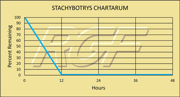 Stachybotrys图表