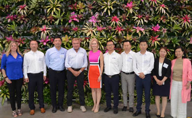 RGF中国/ alphay访问