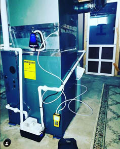 流感为您的家庭比赛拍摄